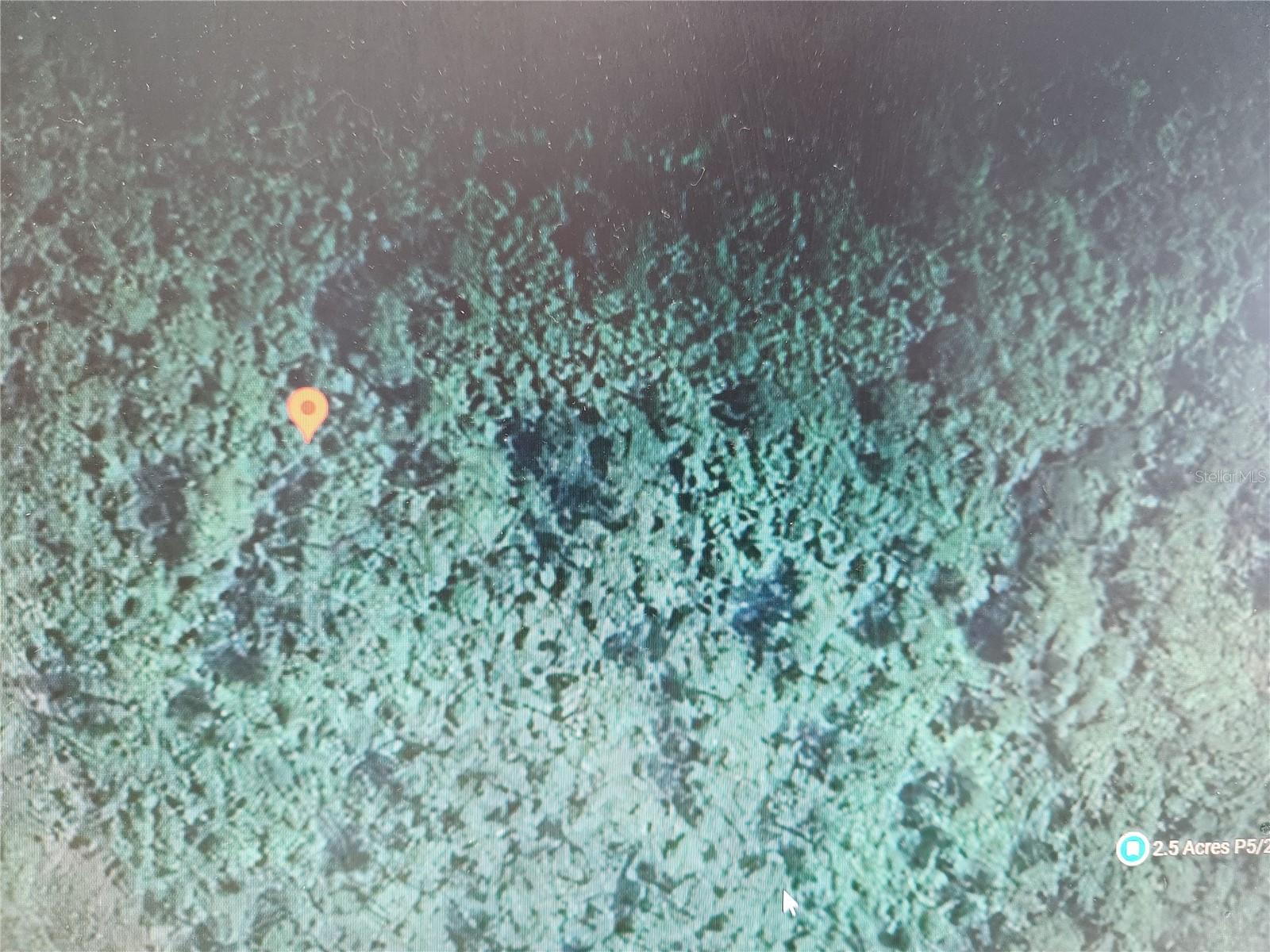 Listing Details for Holopaw Groves Road, ST CLOUD, FL 34771