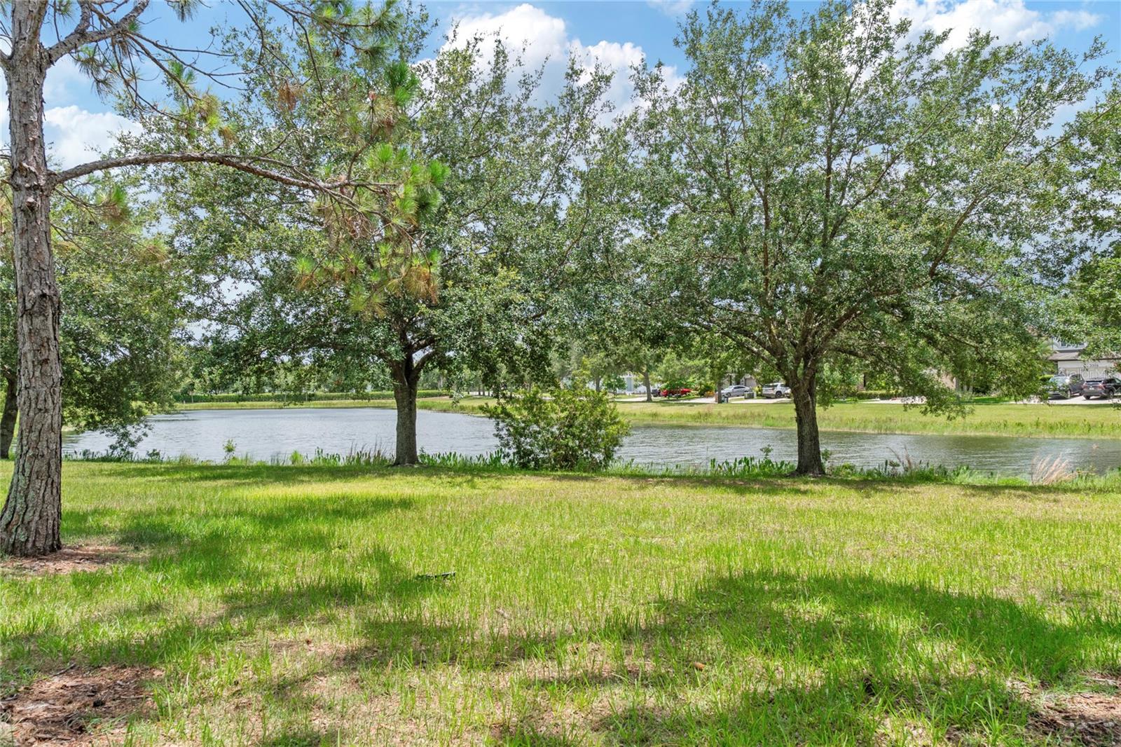 Image 65 of 72 For 6808 Goldflower Avenue