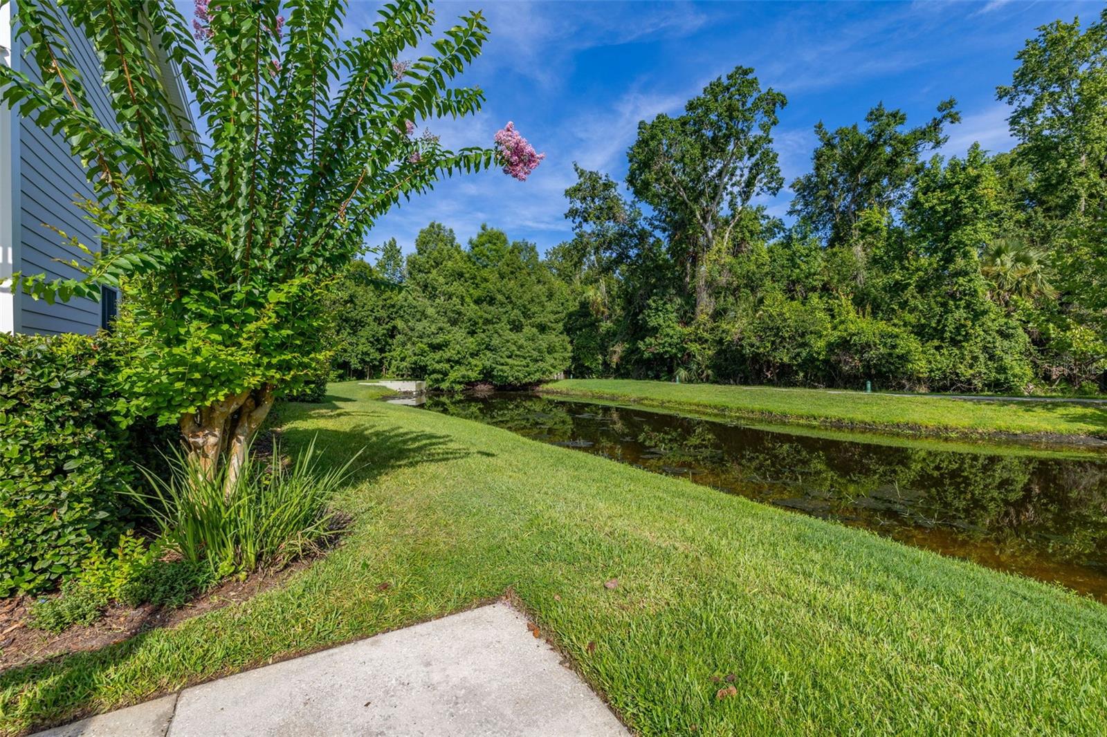 Image 40 of 46 For 900 Greenlawn Street