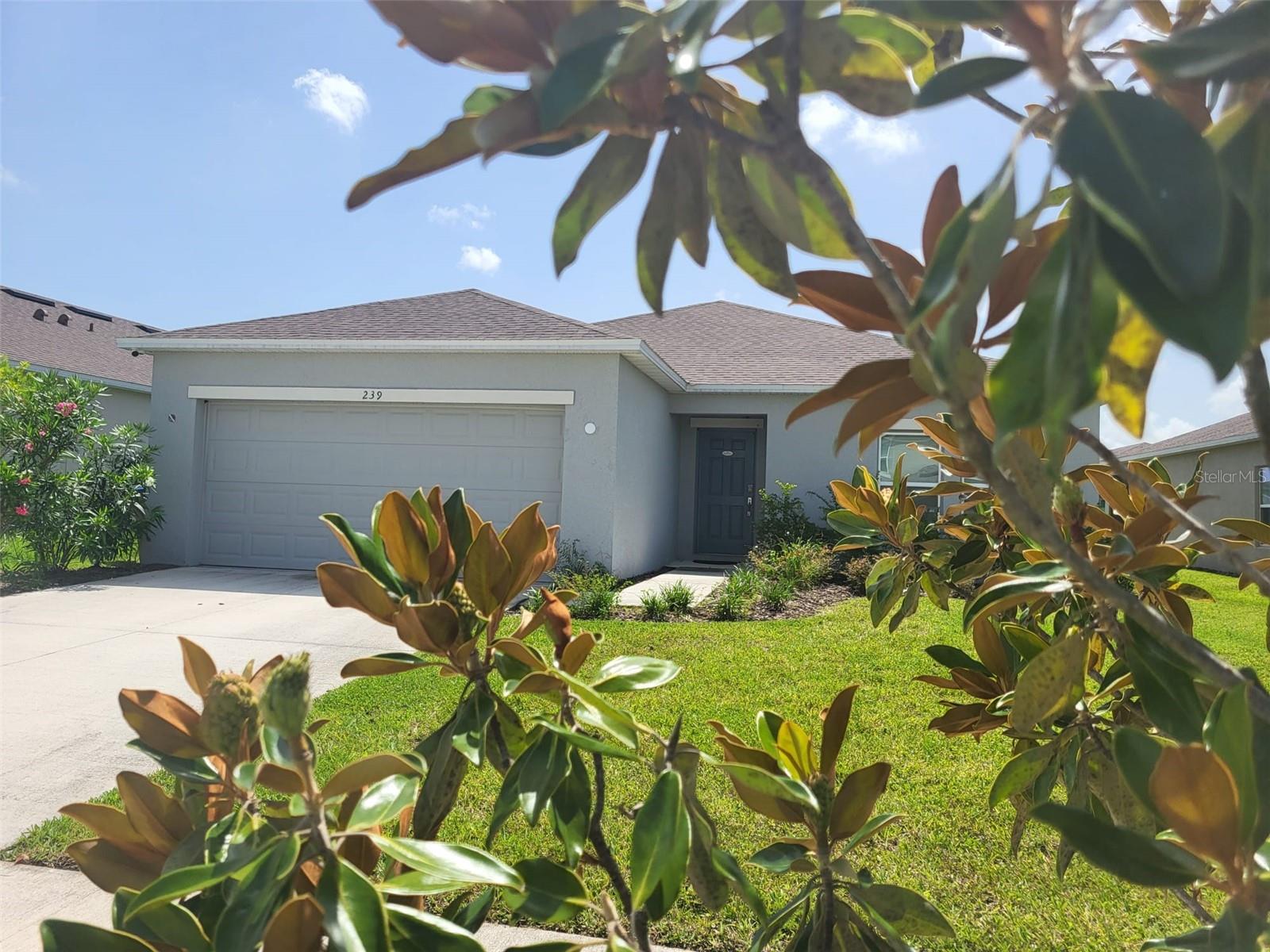 Details for 239 Amber Way, KISSIMMEE, FL 34758