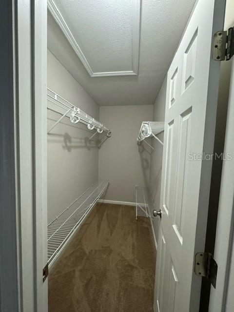 Image 11 of 22 For 8520 Star Leaf Court