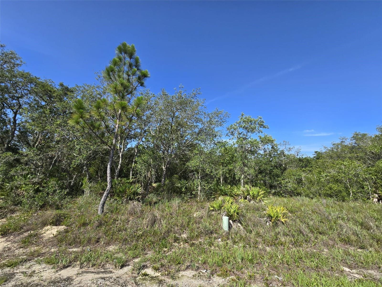 Listing Details for 112 Tench Drive, KISSIMMEE, FL 34759