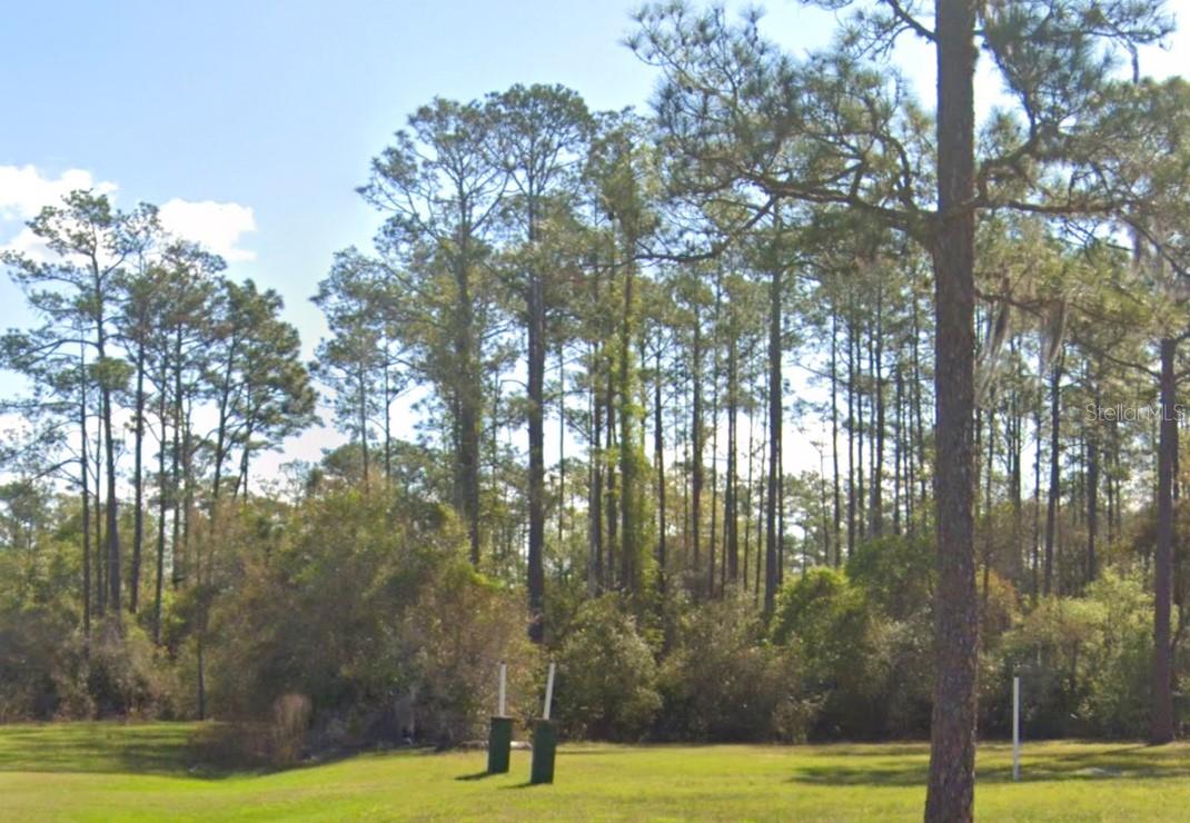 Details for 202 Tamarac Court, GEORGETOWN, FL 32139