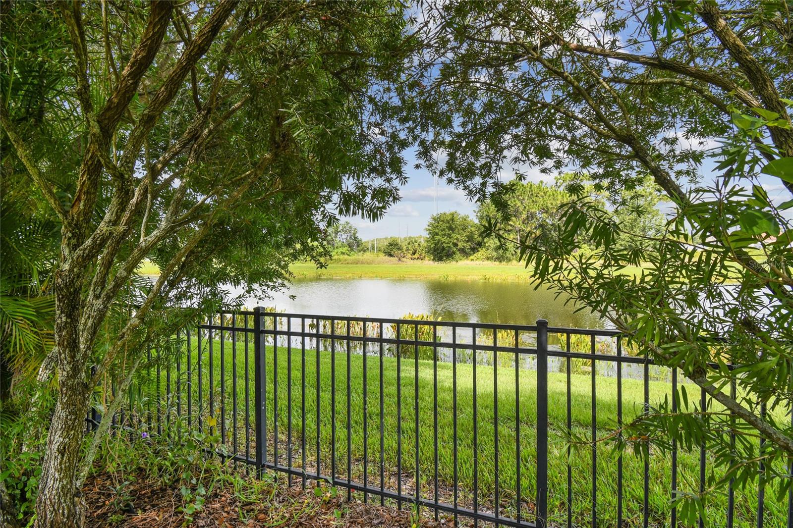 Image 78 of 95 For 521 Milano Rd