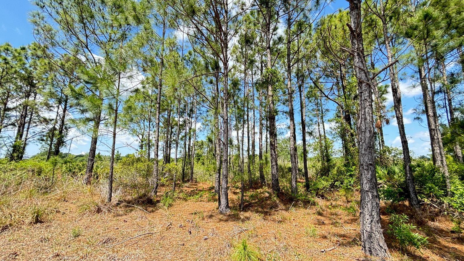 Details for 18121 304th Street, OKEECHOBEE, FL 34972