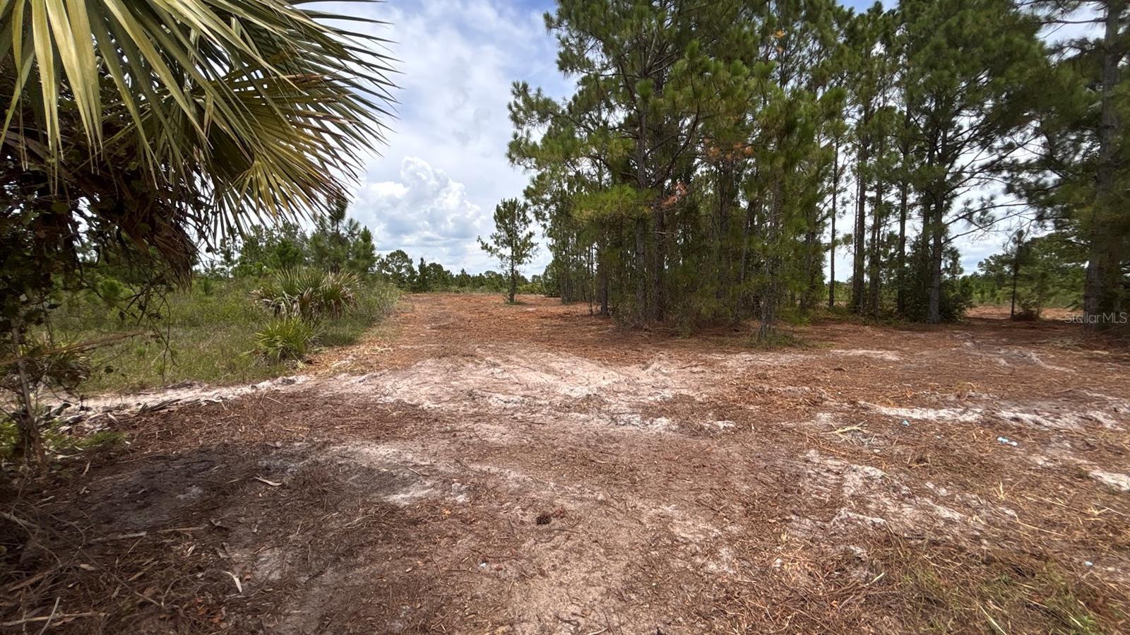Image 17 of 25 For 18121 304th Street