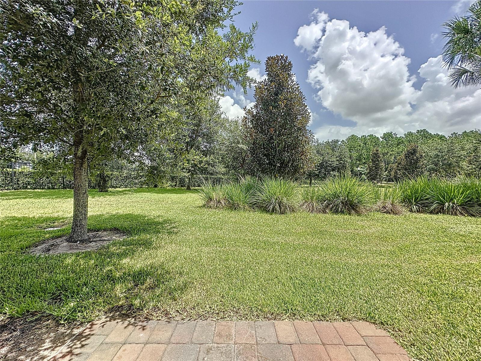 Image 42 of 42 For 1249 Royal St George Boulevard
