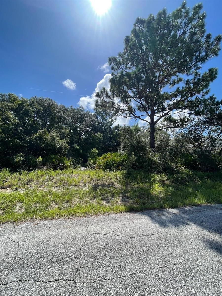 Image 4 of 9 For 1203 Apopka Lane