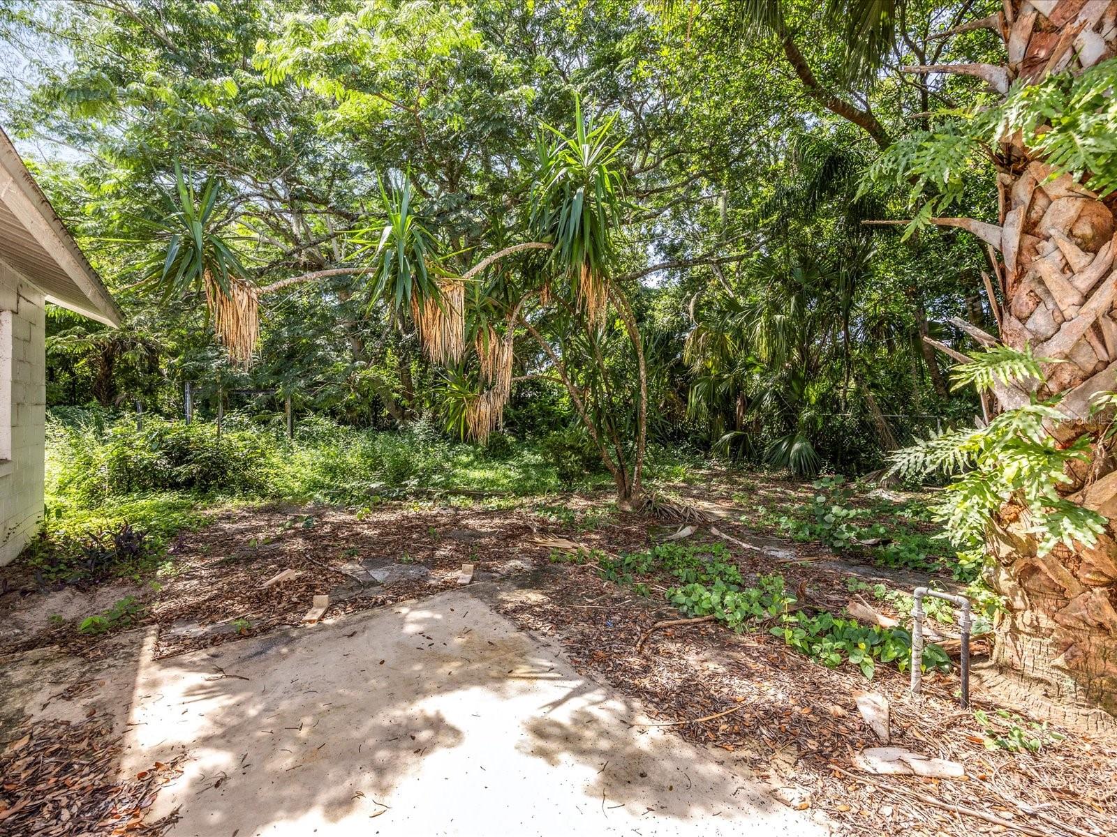 Image 22 of 28 For 201 Sweetgum Court