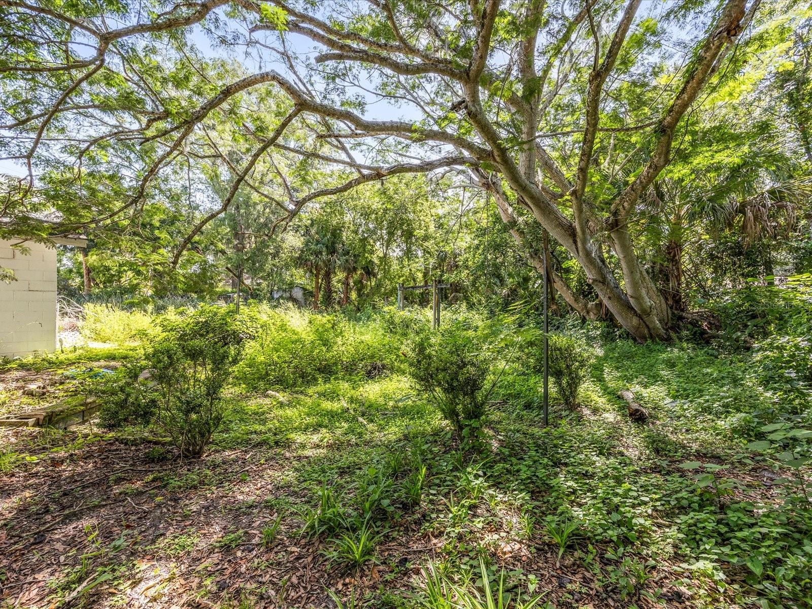 Image 23 of 28 For 201 Sweetgum Court