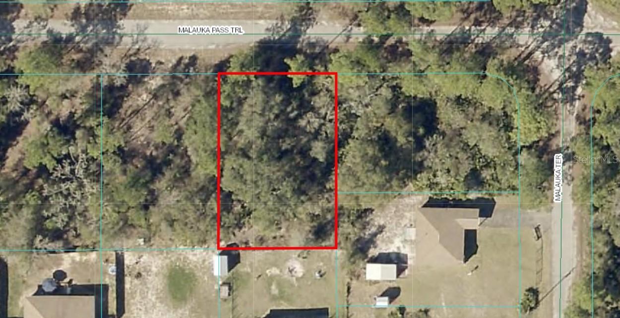 Details for Malauka Pass Trail, OCKLAWAHA, FL 32179