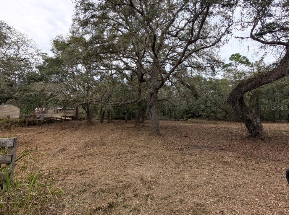 Details for 17131 280th Terrace, UMATILLA, FL 32784