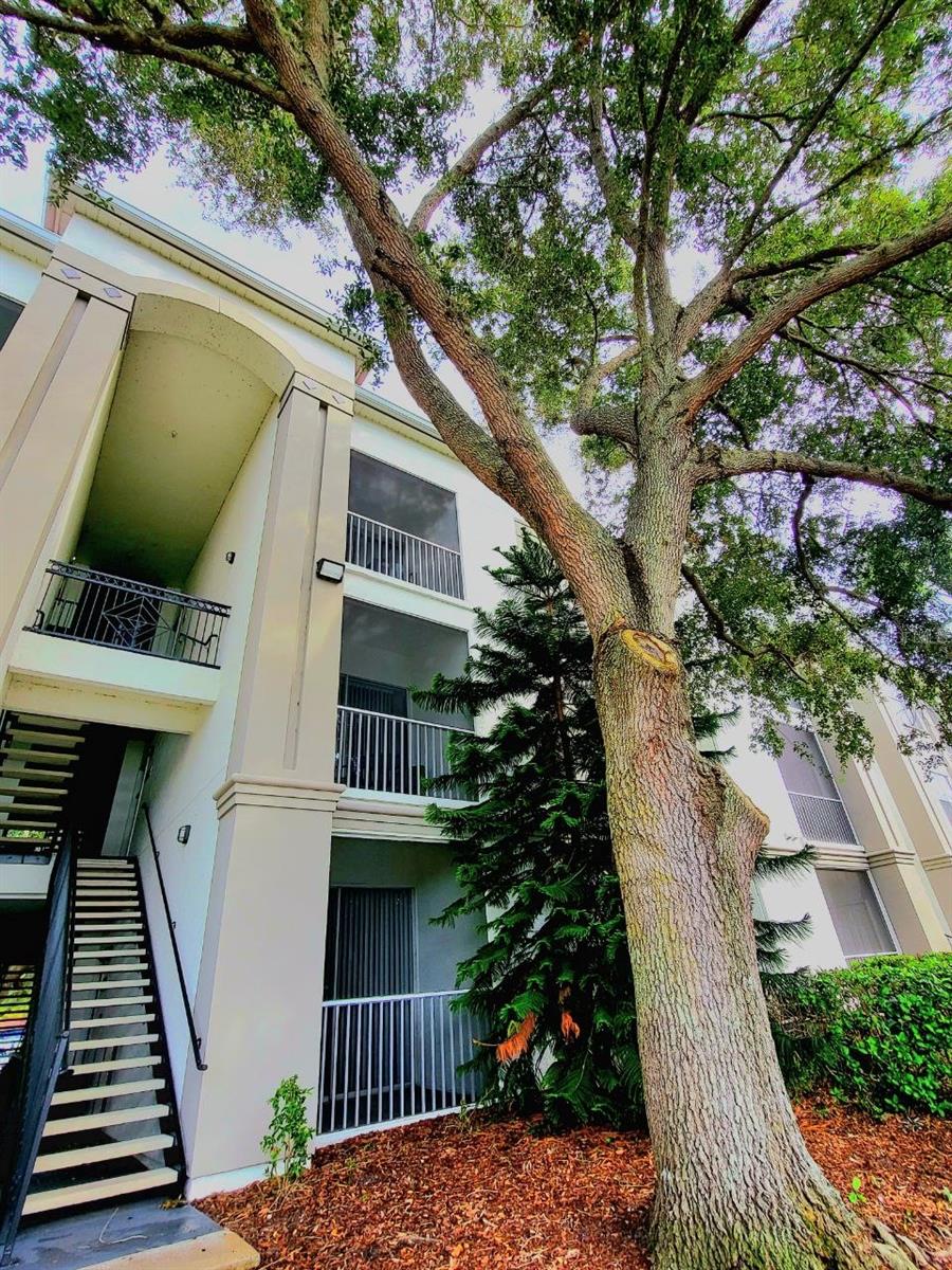 Details for 2627 Maitland Crossing Way 206, ORLANDO, FL 32810