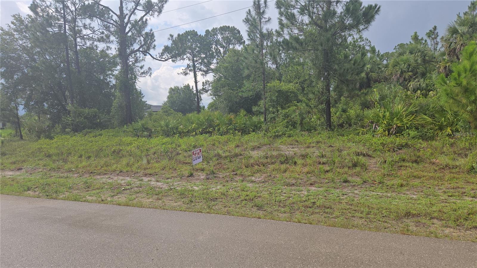 Details for 733 Palmer Street E, LEHIGH ACRES, FL 33974