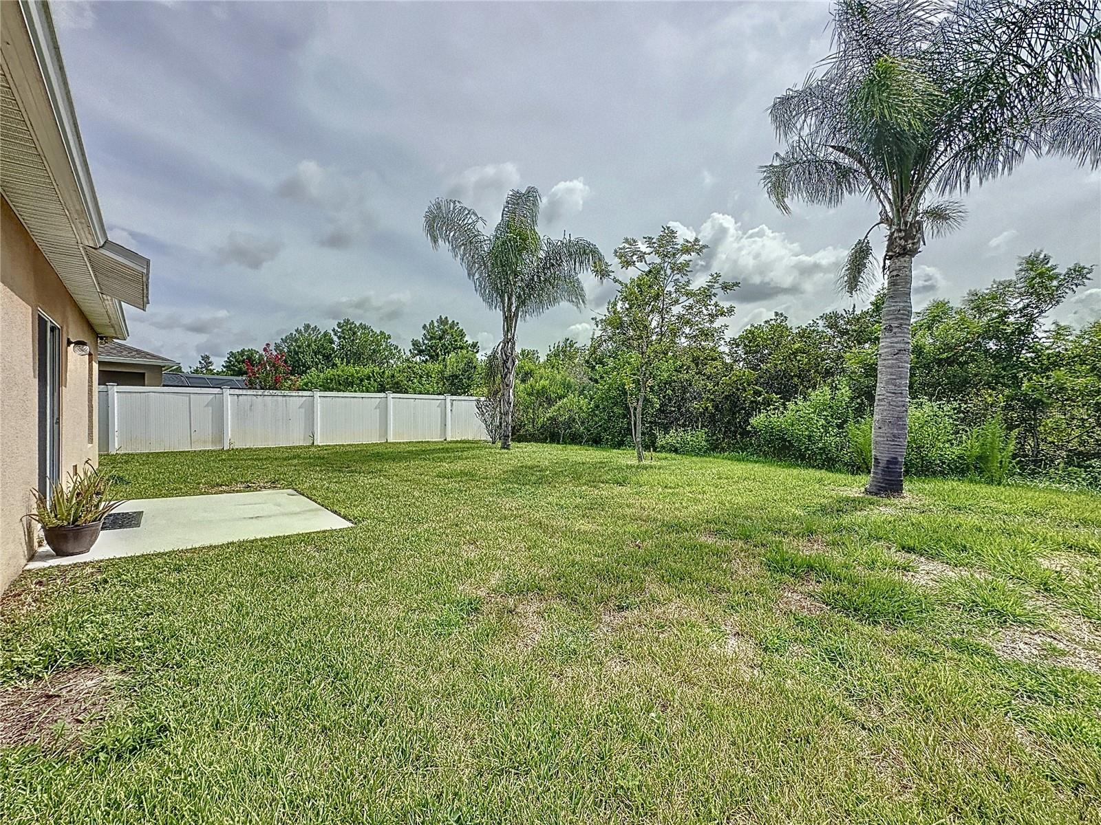 Image 39 of 43 For 3169 Queen Alexandria Drive