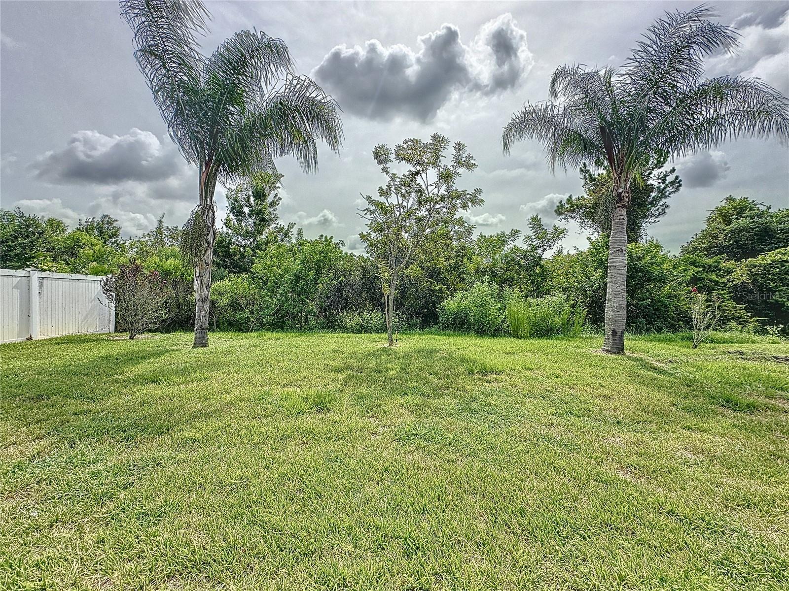 Image 43 of 43 For 3169 Queen Alexandria Drive