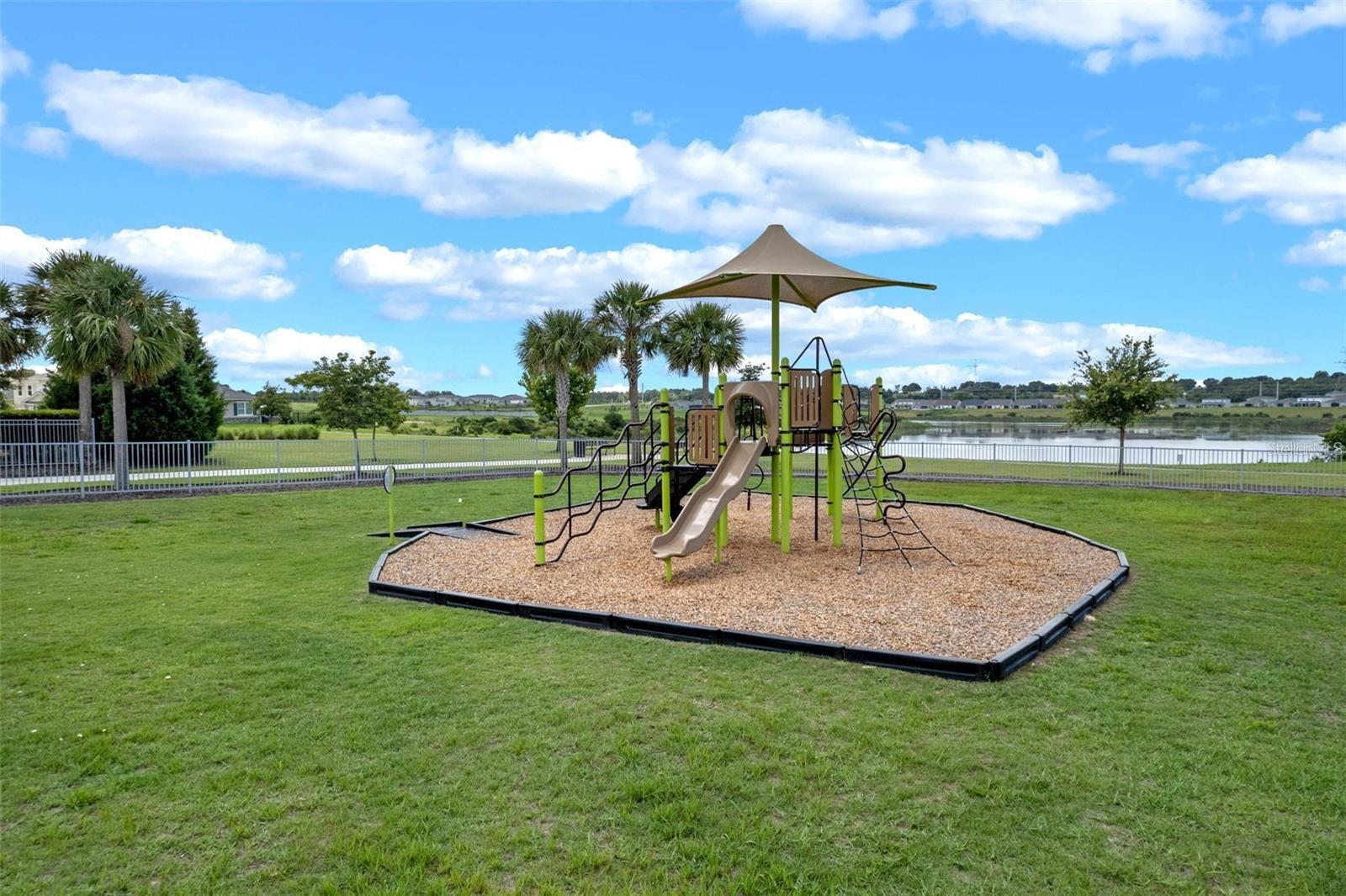 Image 42 of 43 For 2585 Royal Jasmine Court