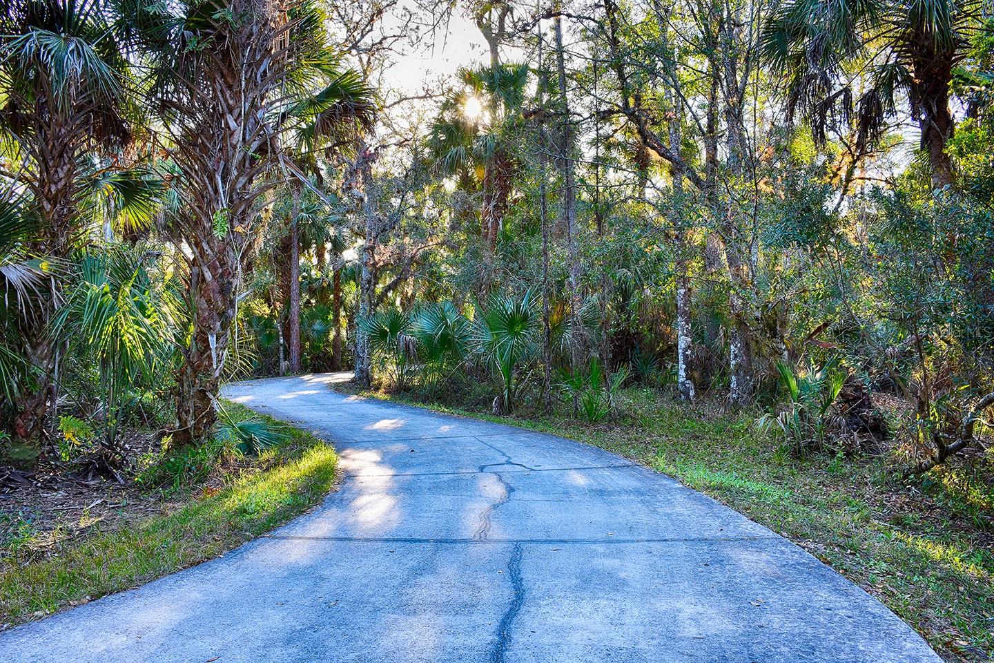 Image 86 of 87 For 840 Jasmine Creek Road
