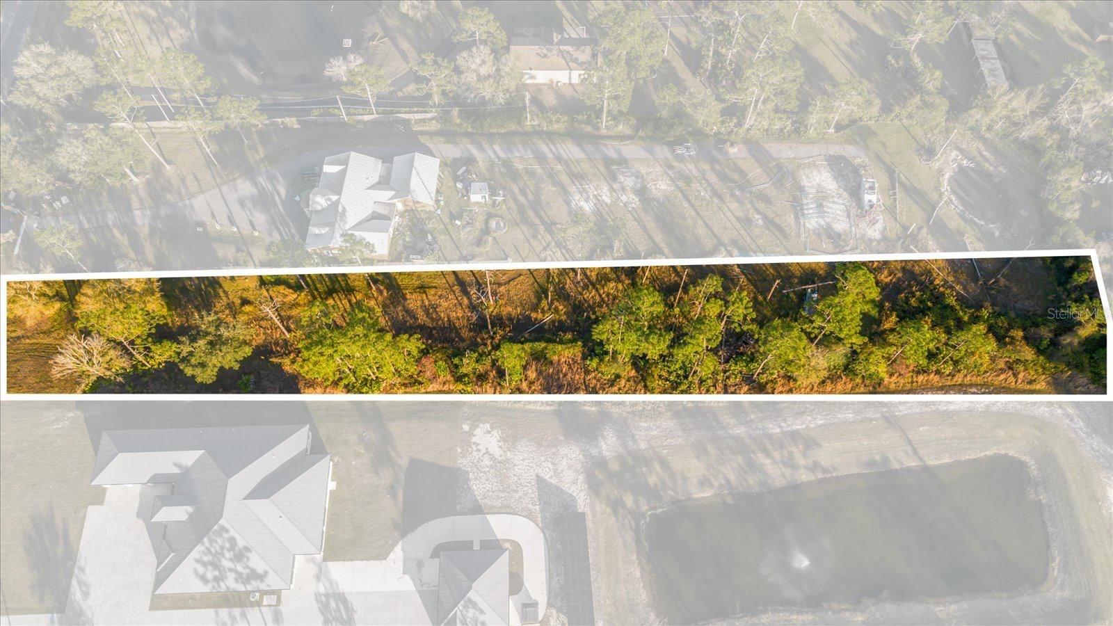 Image 6 of 8 For Quinella Street