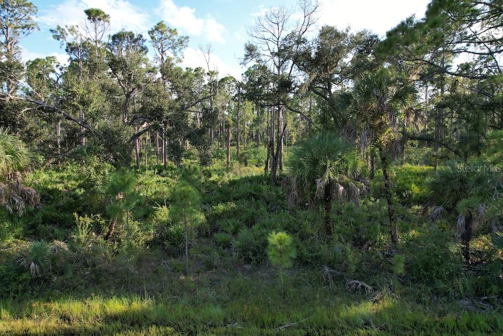 Image 3 of 5 For 13149 Harbison Avenue