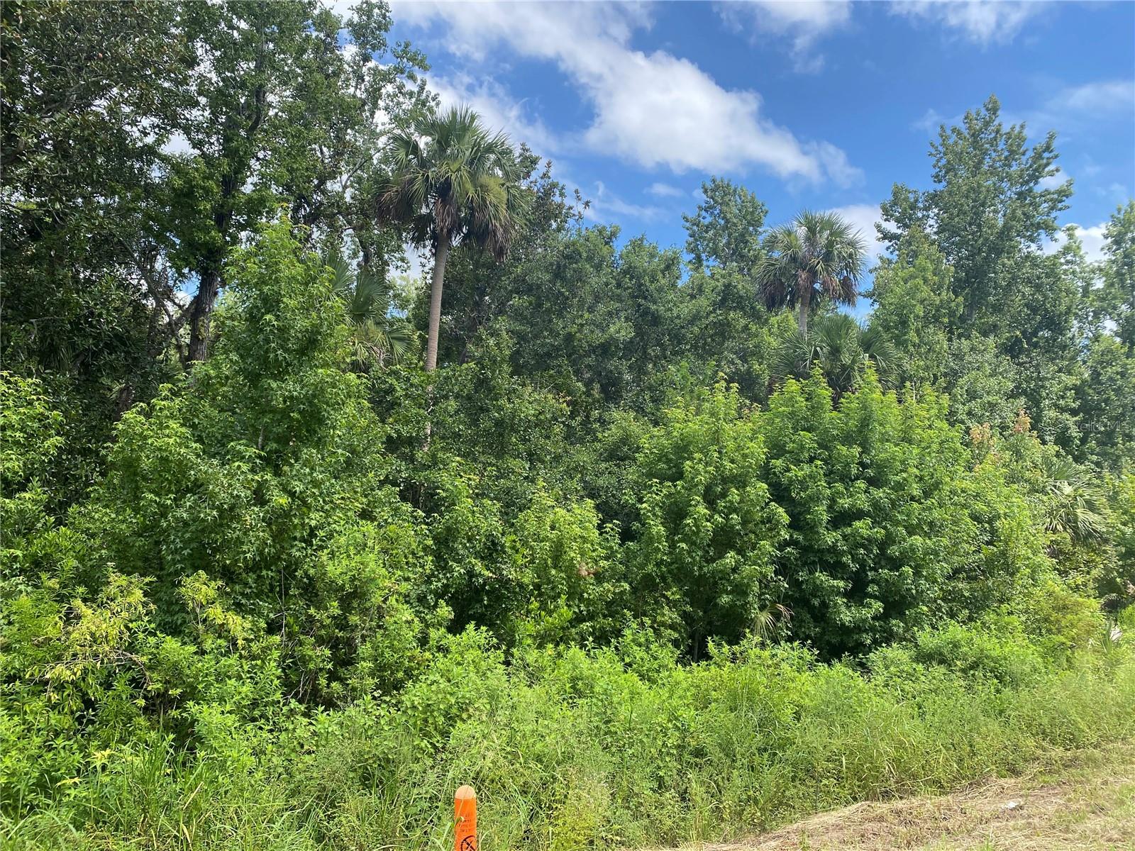 Image 3 of 4 For Cypress Parkway