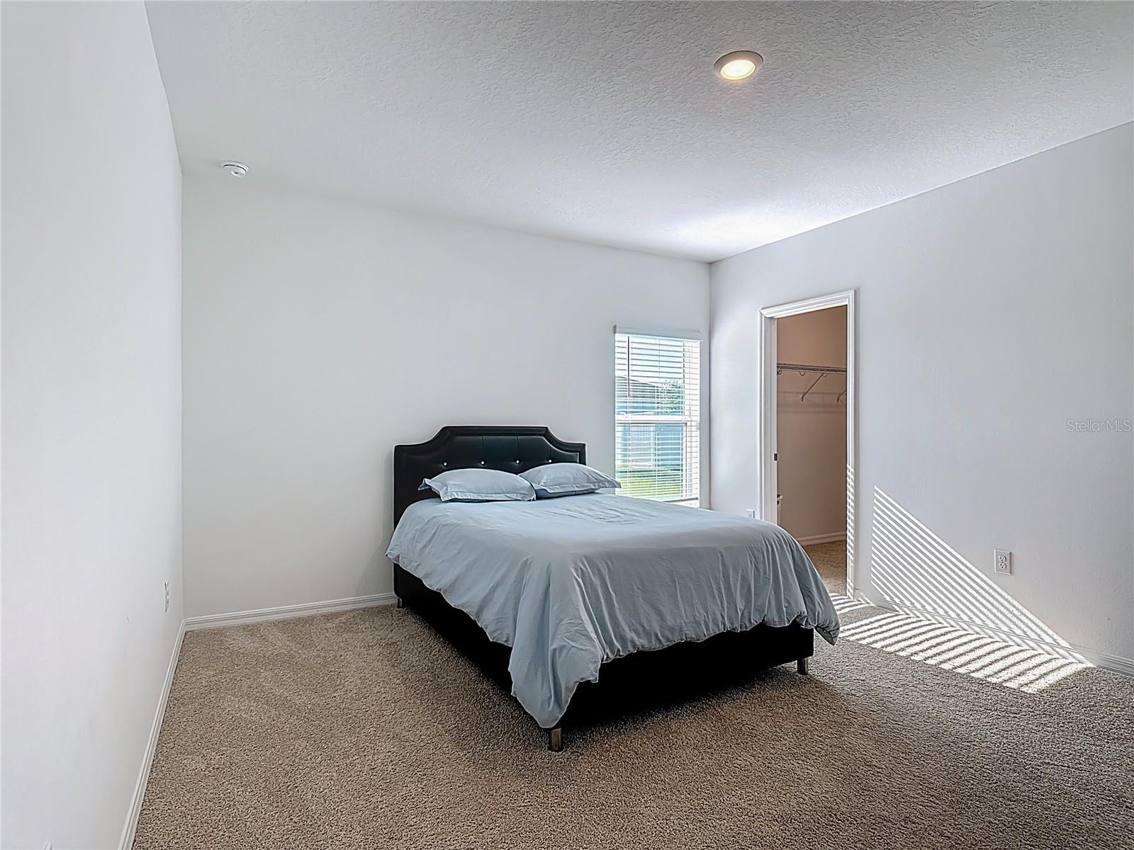 Image 19 of 56 For 243 Amber Way