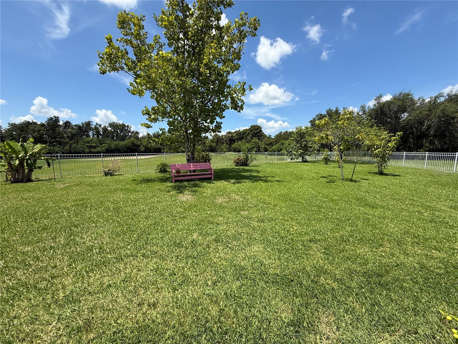 Image 61 of 63 For 231 Strathmore Circle