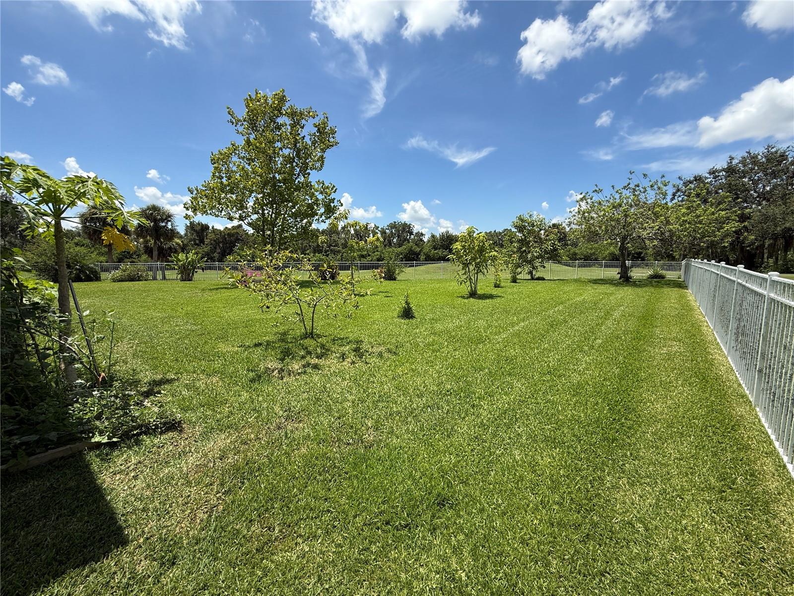 Image 62 of 63 For 231 Strathmore Circle