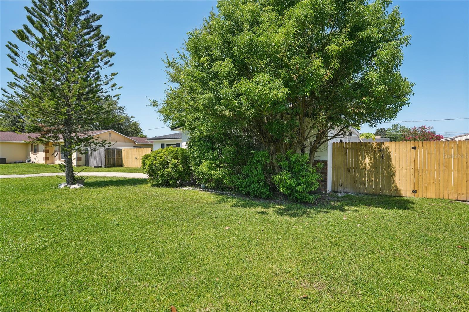 Image 3 of 27 For 706 Phillip Street
