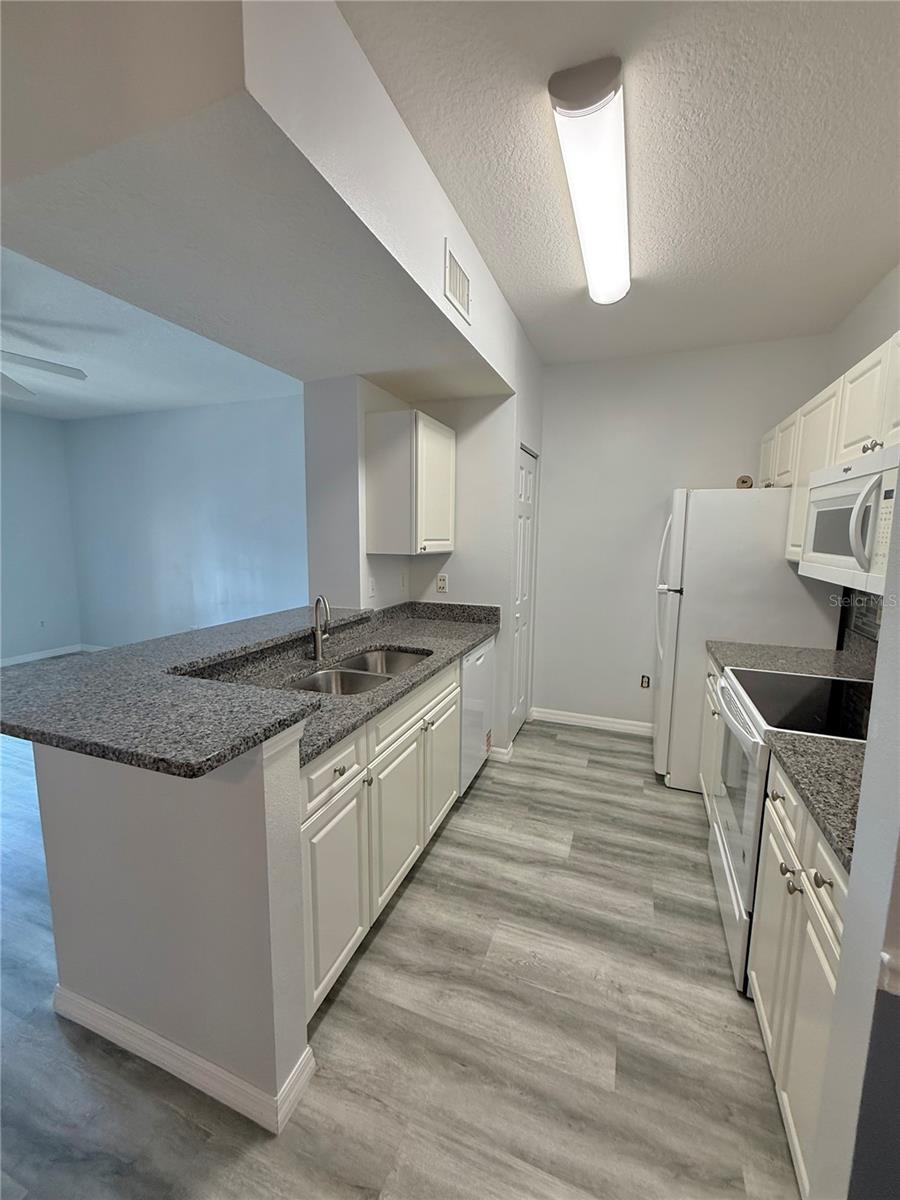 Image 9 of 30 For 14226 Fredricksburg Drive 204
