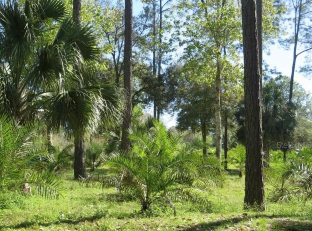 Listing Details for 732 Quail Avenue, SEBRING, FL 33870
