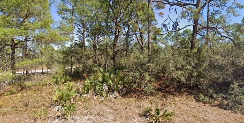 Listing Details for 651 Jonathan Street, LAKE PLACID, FL 33852