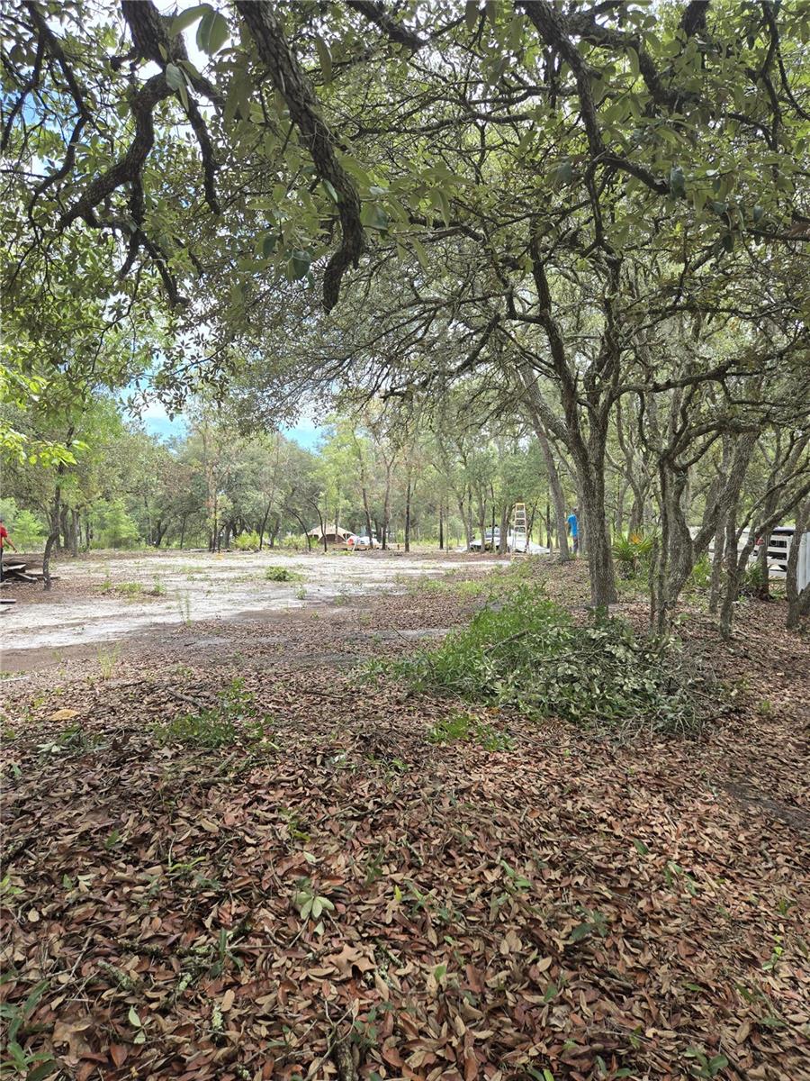 Image 8 of 13 For Ne 81st St And 125th Ave