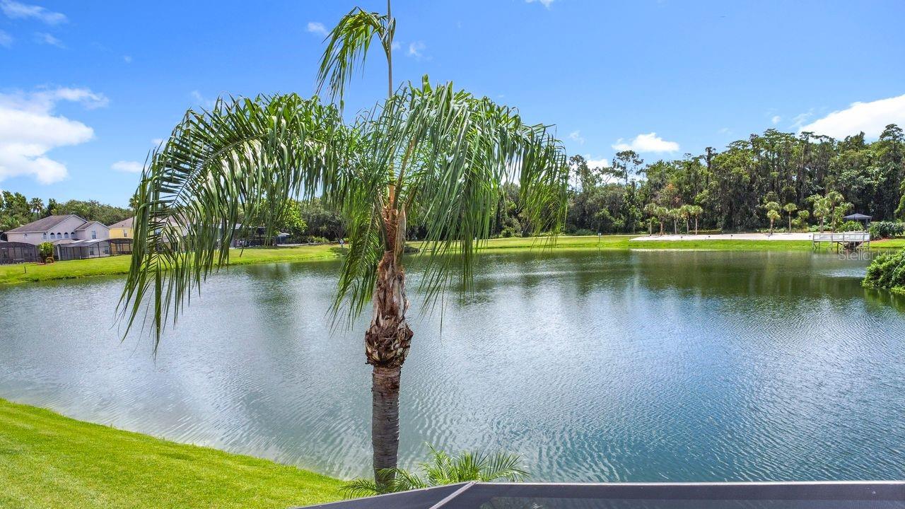 Image 45 of 53 For 955 Lake Berkley Drive