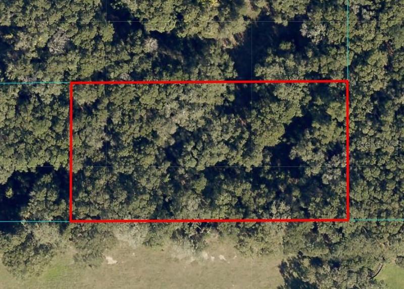 Details for Undetermined, OCALA, FL 34480