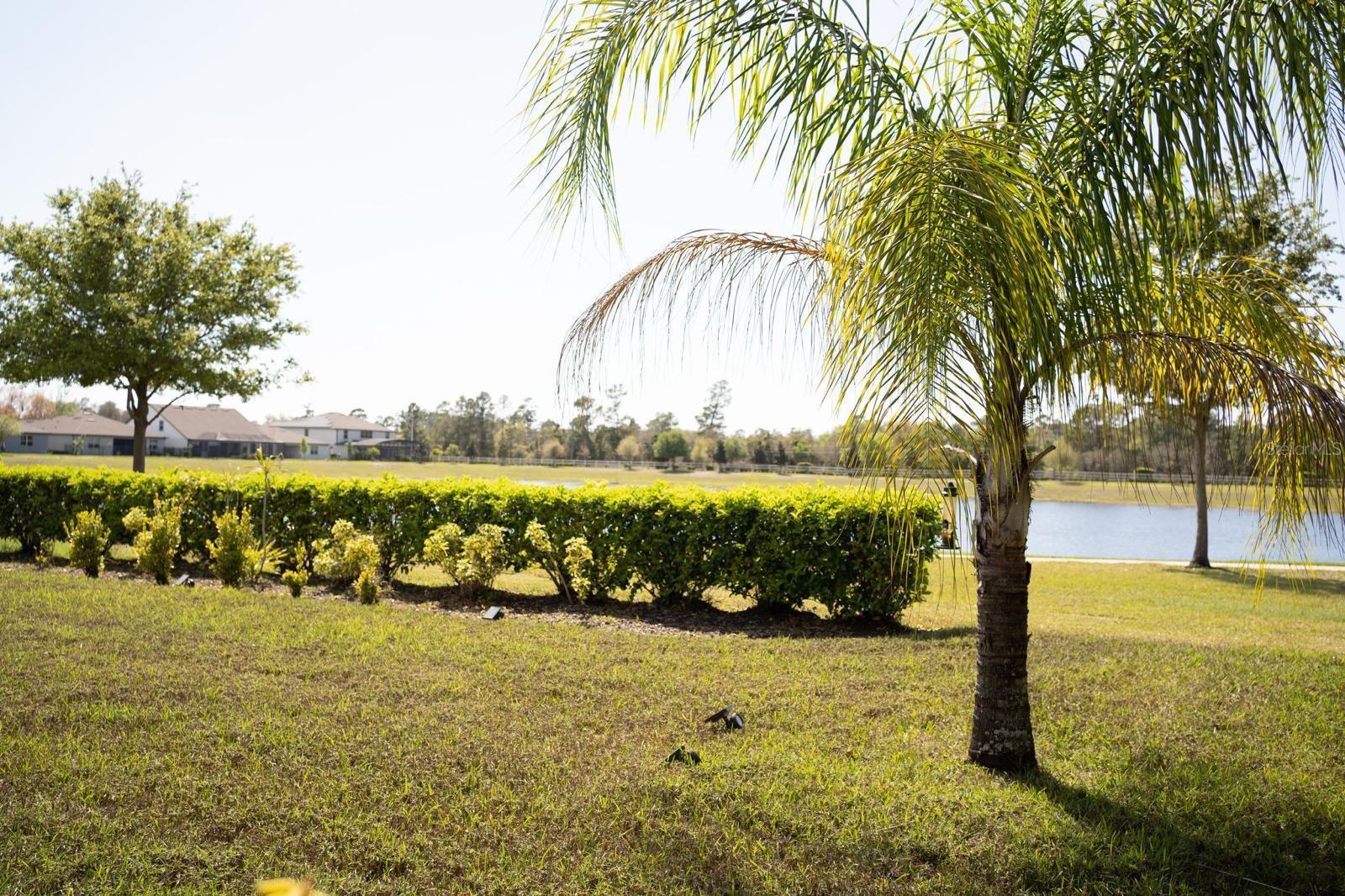 Image 13 of 14 For 2725 Matera Drive
