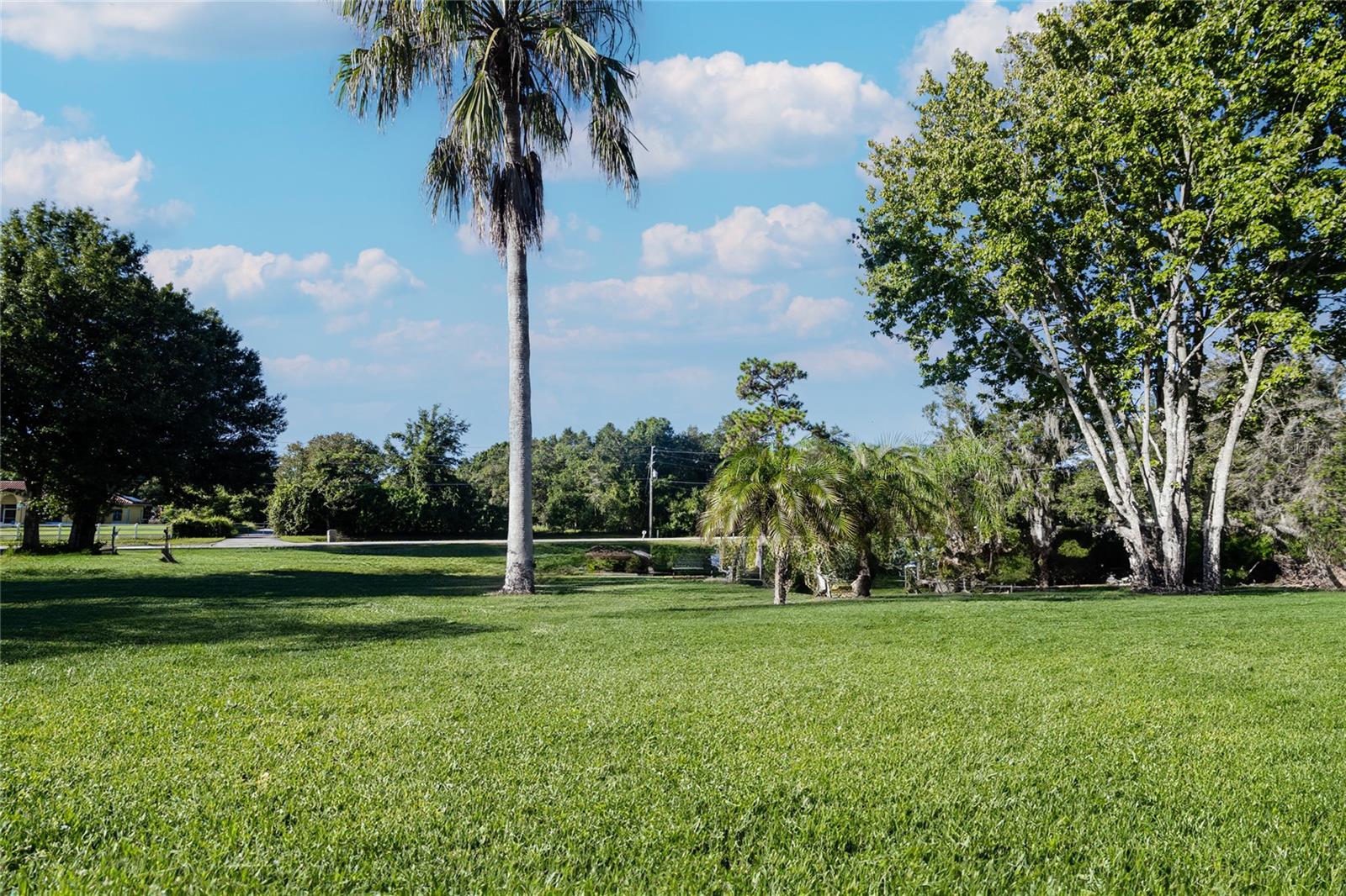 Image 39 of 48 For 3051 Granada Boulevard