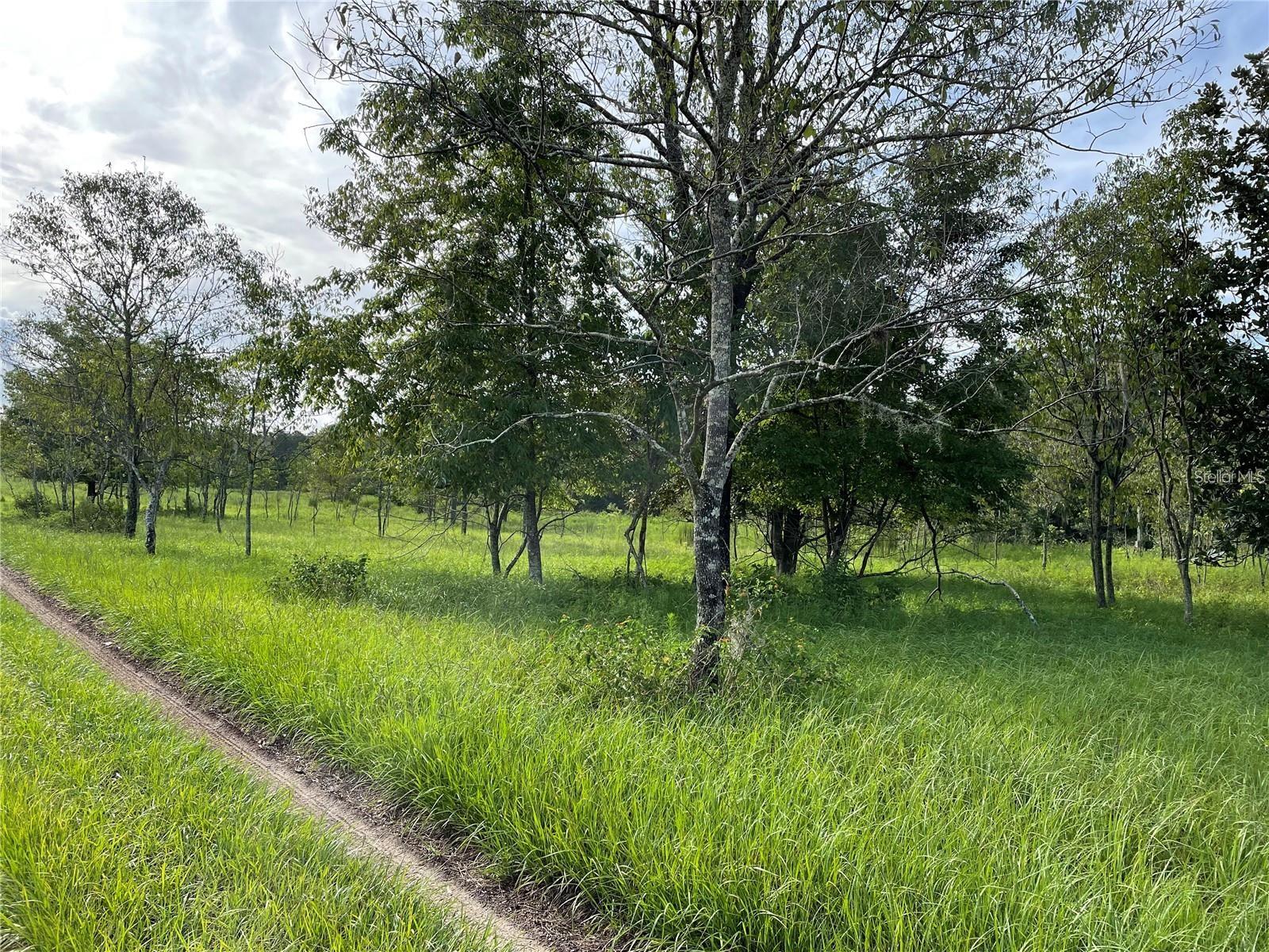Image 17 of 18 For 11301 Claytor Road