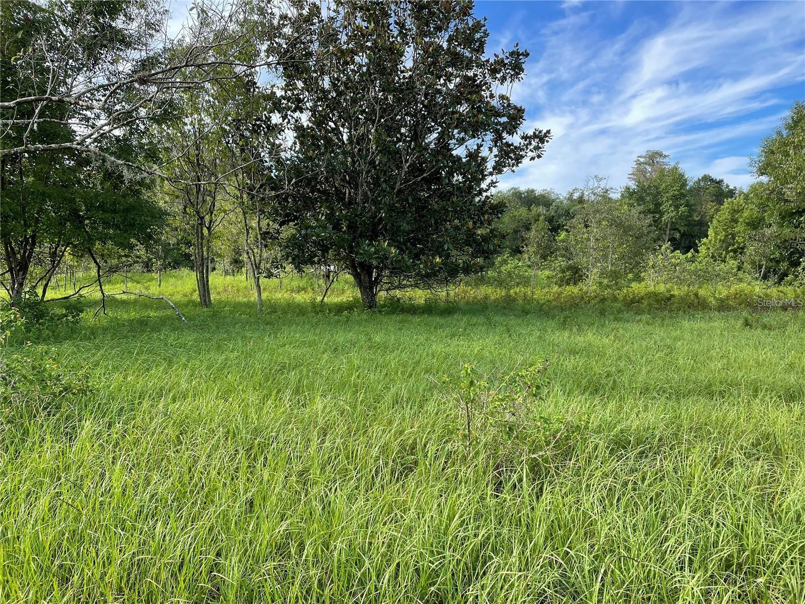 Image 18 of 18 For 11301 Claytor Road