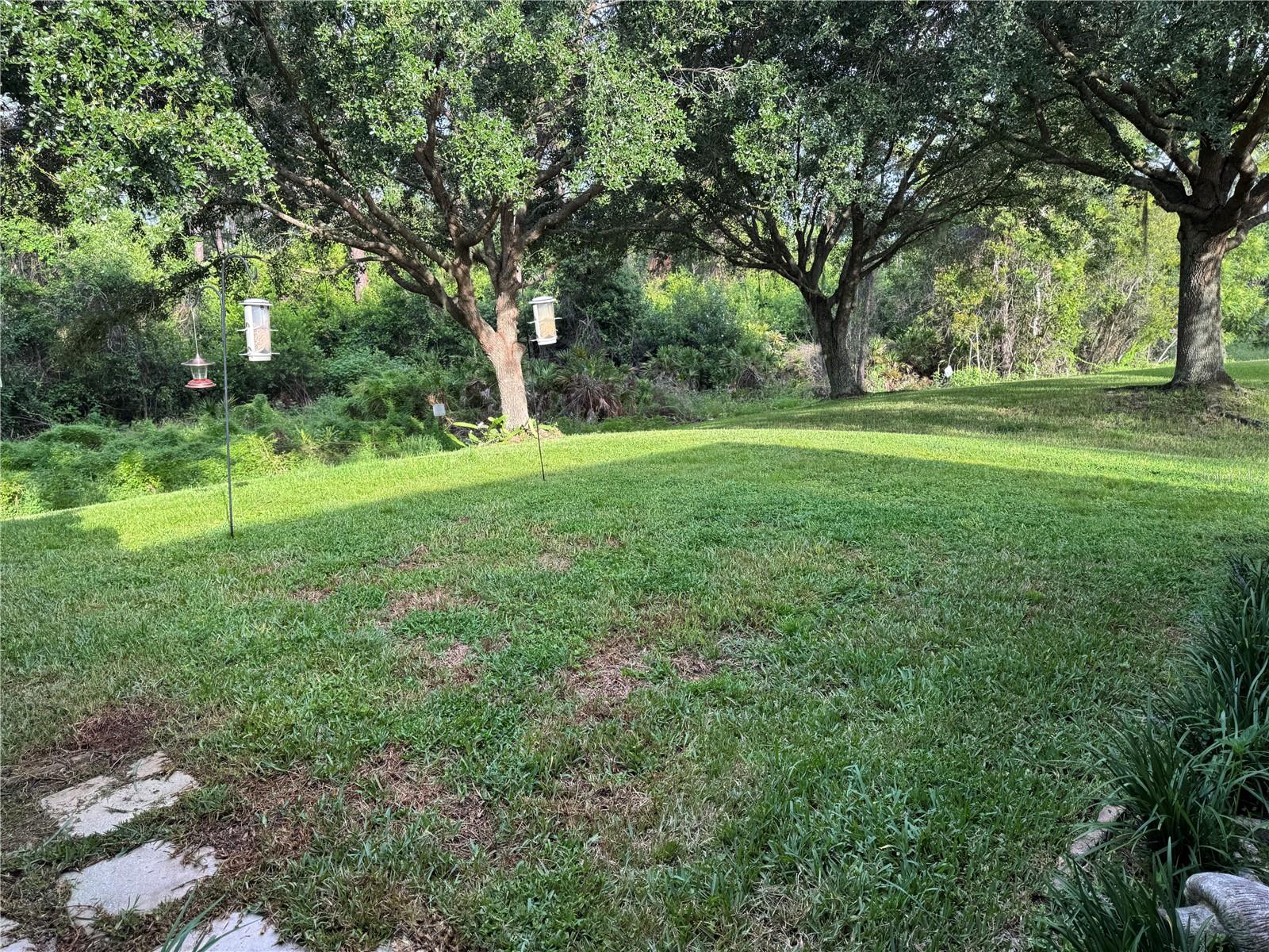 Image 2 of 22 For 9263 Pecky Cypress Way