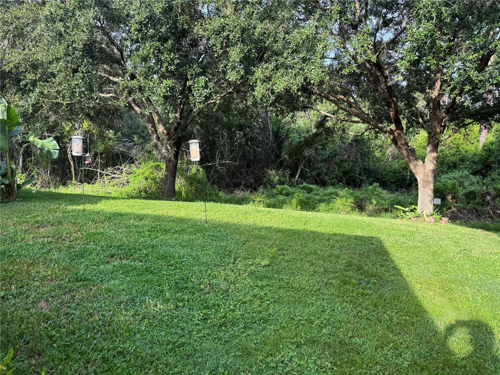 Image 22 of 22 For 9263 Pecky Cypress Way