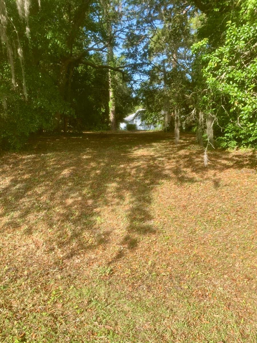 76 Hanging Moss Court