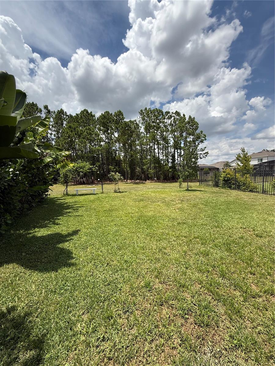 Image 12 of 26 For 17572 Saw Palmetto Avenue