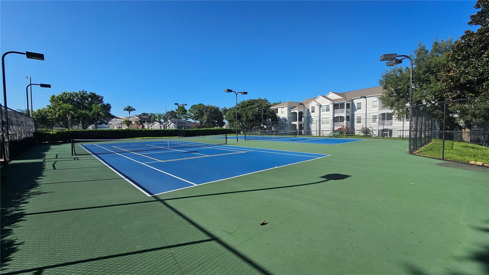 Image 52 of 56 For 8101 Coconut Palm Way 302