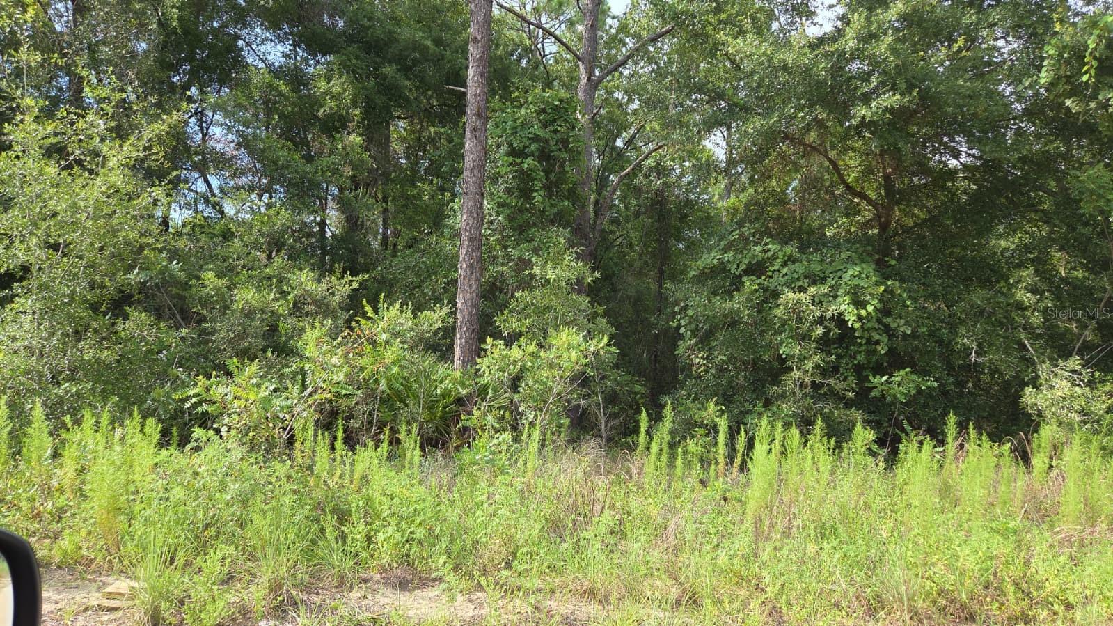 Details for 0 49th Place, DUNNELLON, FL 34432