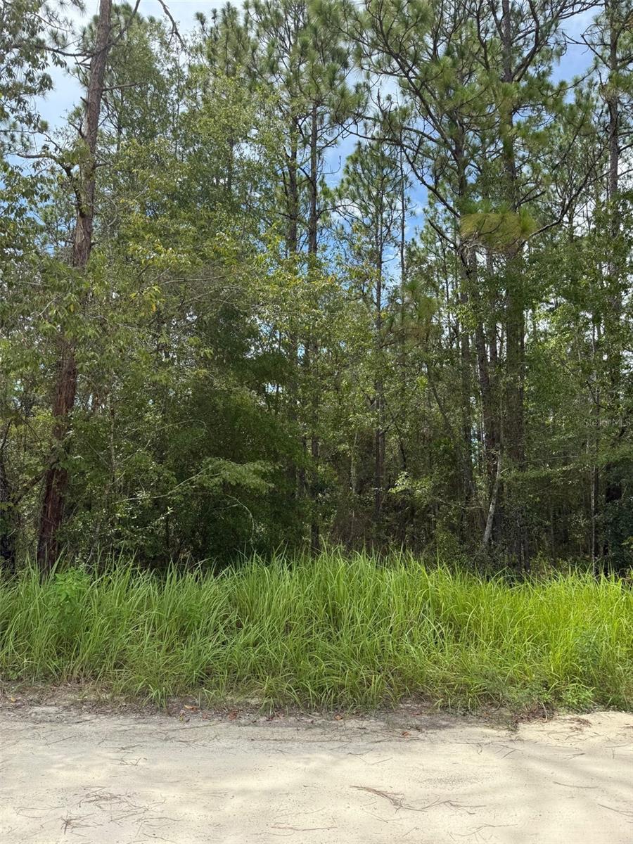 Details for 4500 175th Court, DUNNELLON, FL 34432