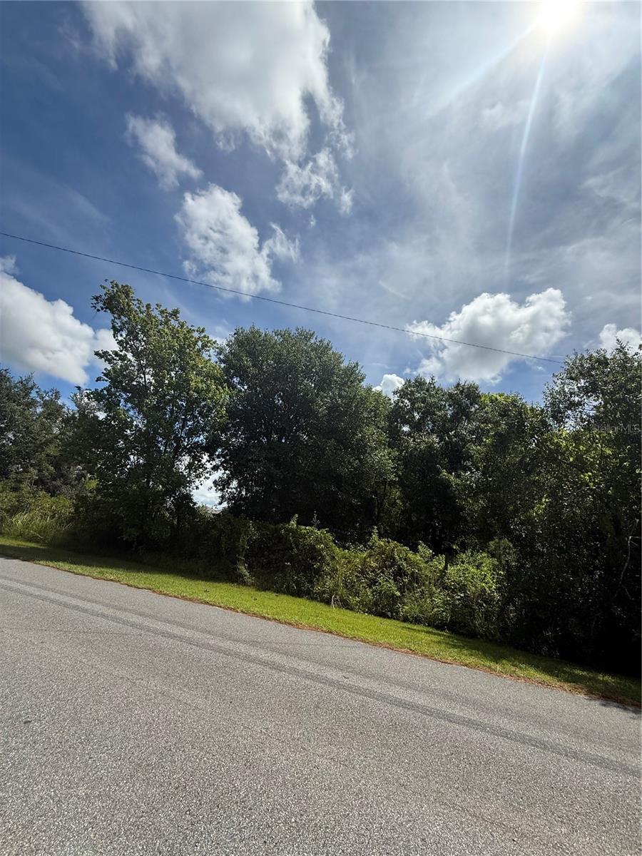 Image 7 of 8 For 5771 Leon Tyson Road