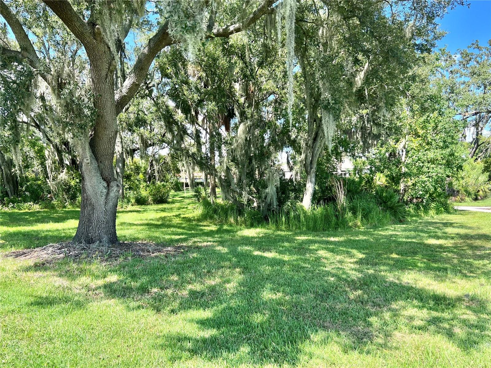 Image 25 of 46 For 1512 Diamond Loop Drive