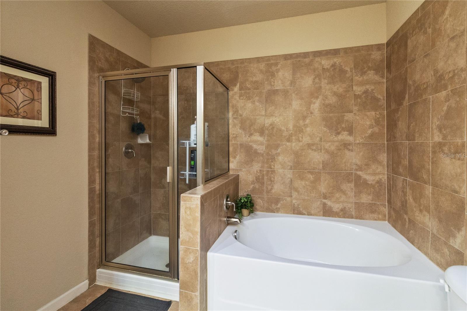 Image 15 of 24 For 901 Charo Parkway 723