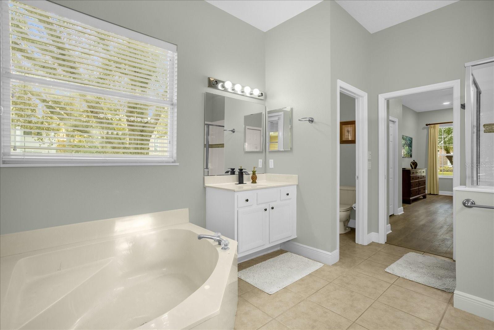 Image 21 of 36 For 7401 Astina Street